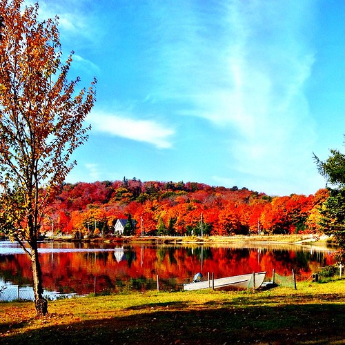 autumn trees lake colors square boat colours squareformat iphoneography instagramapp uploaded:by=instagram foursquare:venue=4e2c96d545dd3272c81f41f7