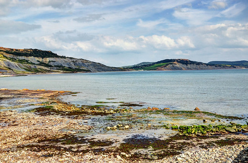 coast seaside cliffs dorset beaches lymeregis fossils charmouth jurassiccoast lymebay blackven maryanning fossilhunters