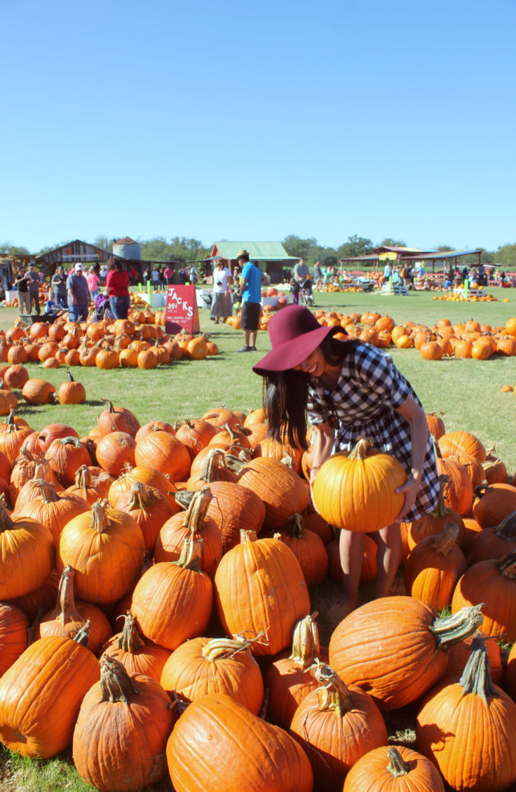 fall outfit ideas, autumn pumpkin patch, austin texas style blogger, austin fashion blogger, austin texas fashion blog