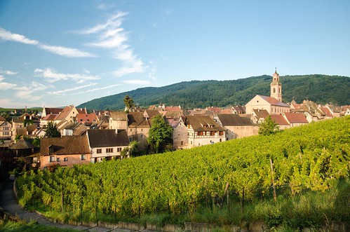 morning houses france beautiful architecture sunrise early village vine hills alsace picturesque grapevine halftimbered riquewihr picturesquevillage thegemofthealsacevineyards