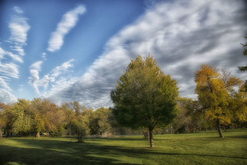 park blue trees sky clouds centennial oak october lawn il 2014