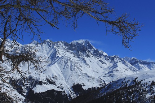 valais suisse vichères grandcombin montagnes hiver neige paysages branches arbres bleu nature vald’entremont