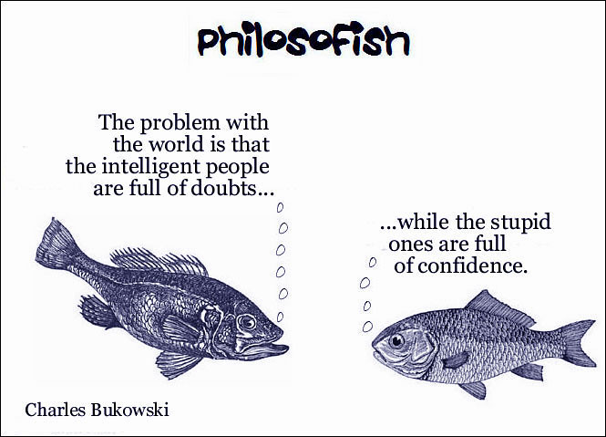 philosofish 9